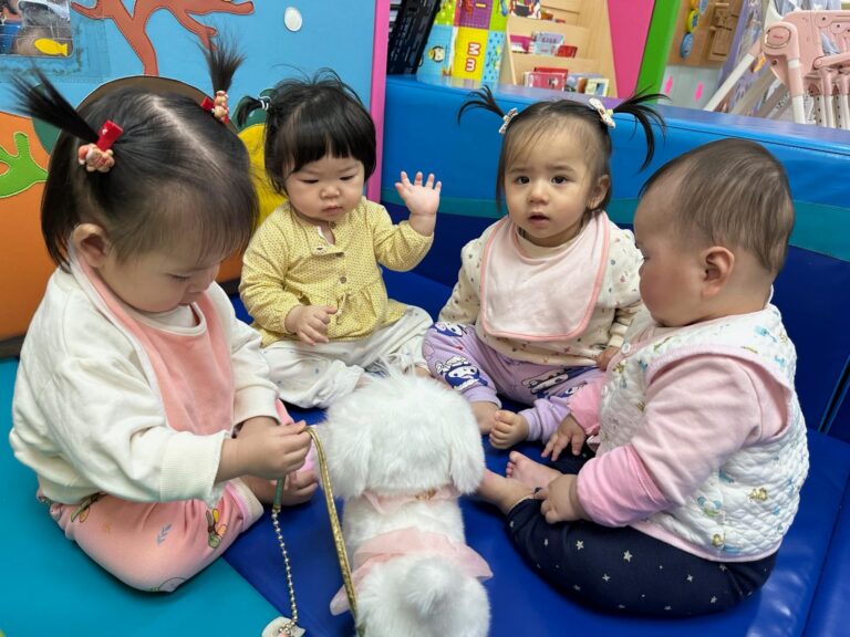 WhatsApp Image 2026-05-19 at 15.02.03 (2)
